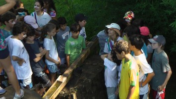 Atrações Complementares