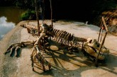 Acertos de instalação: Tiranossauro Rex de 4 toneladas 
