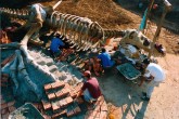 T-Rex: acabamento e fixação de detalhes 
