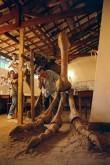 Projeto do Tiranossauro Rex
