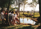 Baby Zoo: oportunidade de interação com os filhotes Caverna 