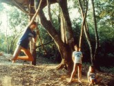 Brincando com a inércia e a gravidade nos cipós da Cabana do Tarzã
