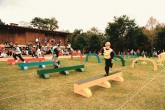 Jogos ao ar livre ganham novas características
