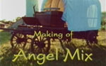 Making of Angel Mix