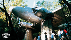 Avião DC-3