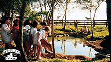 Baby Zoo