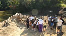 Vídeos e Fotos de Locações Cenográficas