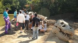 Vídeos e Fotos de Locações Cenográficas