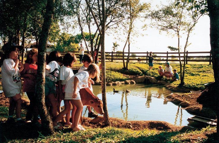 Baby Zoo / Teleférico